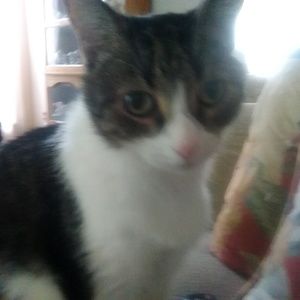 Meet your Posher, Joanne